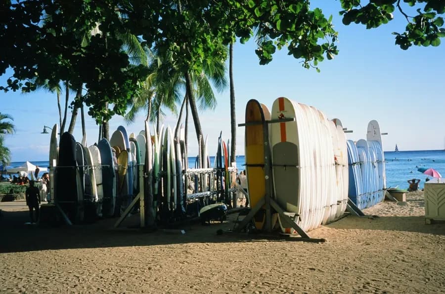 Surfboards lined up on the beach